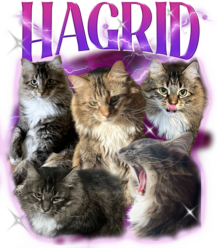 hagrid 3102915599.png