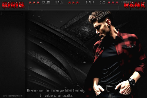 Bay Radyo Tema 228 liebefee13