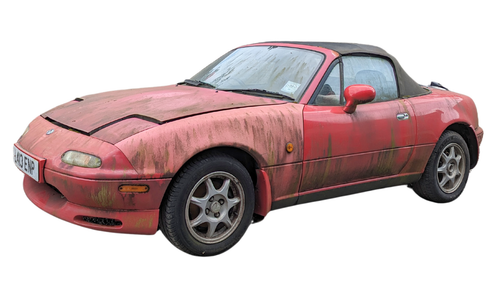 Untitled design (11).png