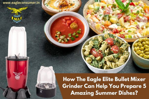 How The Eagle Elite Bullet Mixer Grinder Can Help You Prepare 5 Amazing Summer Dishes?.jpg