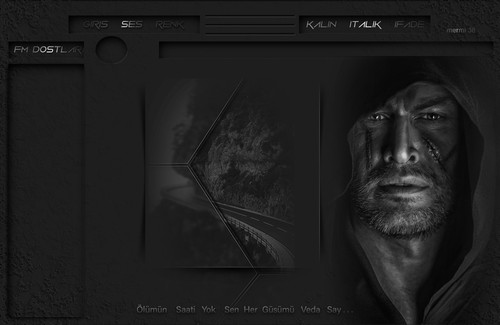 VEDA SAY. ERKEK .MERMI 38.jpg