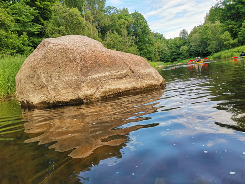 IMG 20240608 155910.jpg