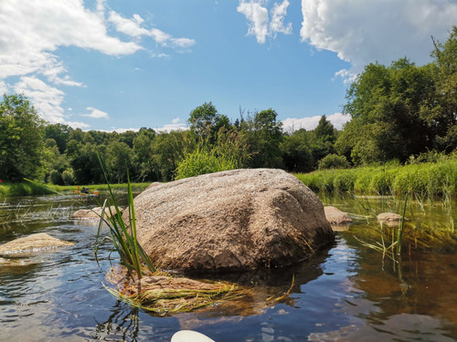 IMG 20240608 144104.jpg