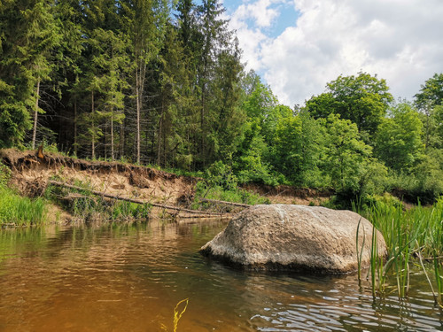 IMG 20240608 123556.jpg