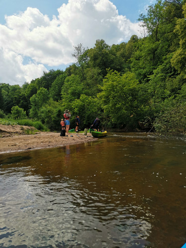 IMG 20240608 123101.jpg