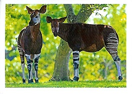 PENNY Naše země 098.jpg