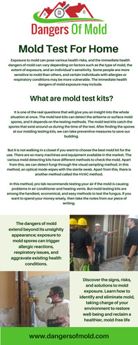 Mold Test for Home | Mold Test Company | Dangers Of Mold.jpg