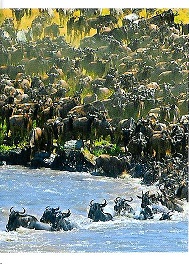 PENNY Naše země 089.jpg