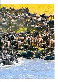 PENNY Naše země 090.jpg