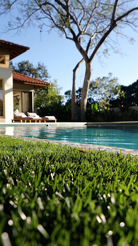 louispietsch 36677 backyard pool grass ar 916 960f7ab2 73df 4d7d aaec 4caeec0a4da4 1.png