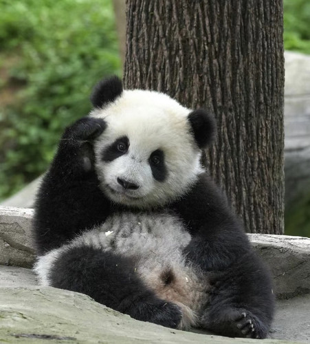 264CD80C 2D08 4EA7 BBDC F3E45CF2A42A.jpg