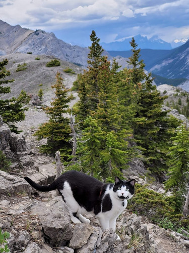 448090672 10230856741195303 6364886251953013042 n.jpg