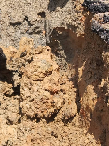 WhatsApp Image 2024 06 10 at 13.05.39.jpg