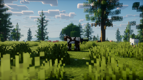 2024 06 10 05.07.21.png