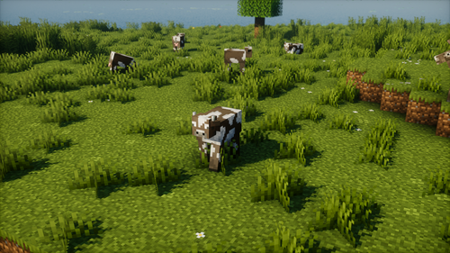 2024 06 10 05.09.26.png