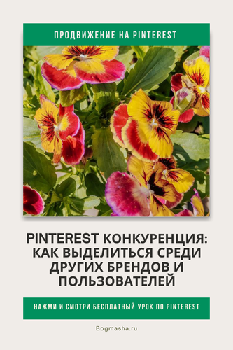 продвижение на pinterest (82).png