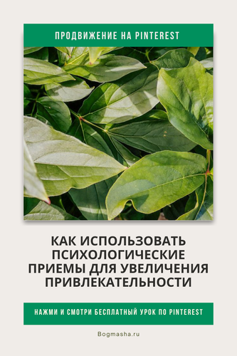 продвижение на pinterest (84).png