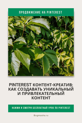 продвижение на pinterest (86).png