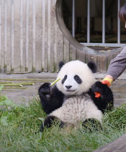 C8496DEB 1D10 46DA 9175 FC3FAB13A2E7.jpg