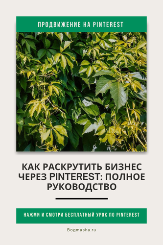 продвижение на pinterest (102).png
