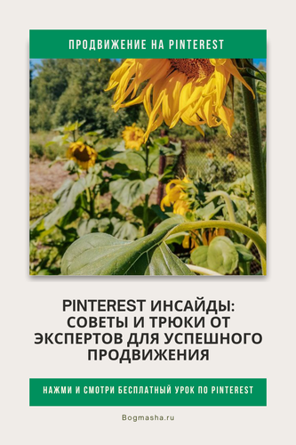продвижение на pinterest (87).png