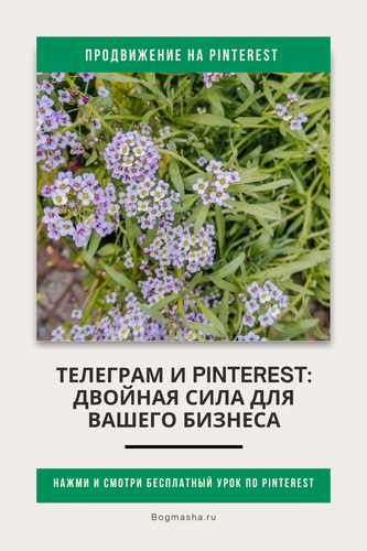 продвижение на pinterest (109).png