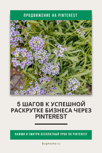 продвижение на pinterest (116).png