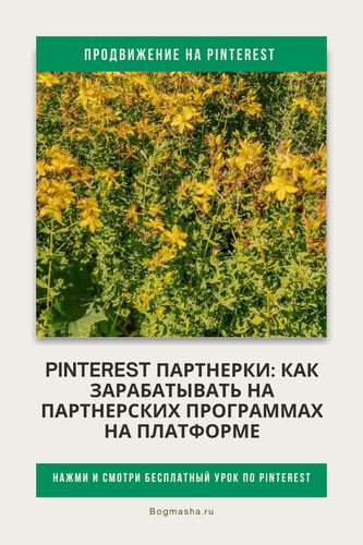 продвижение на pinterest (89).png