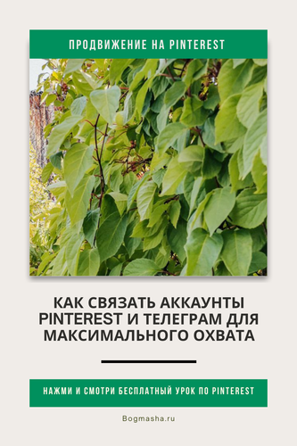 продвижение на pinterest (114).png