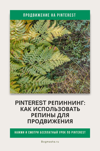 продвижение на pinterest (94).png