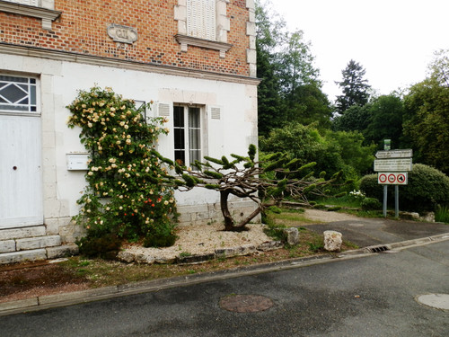 Olivet Bords du Loiret 31.jpg