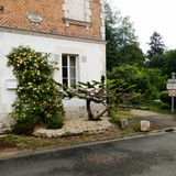 Olivet Bords du Loiret 31