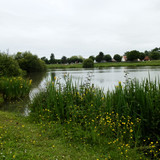 Olivet Bords du Loiret 40