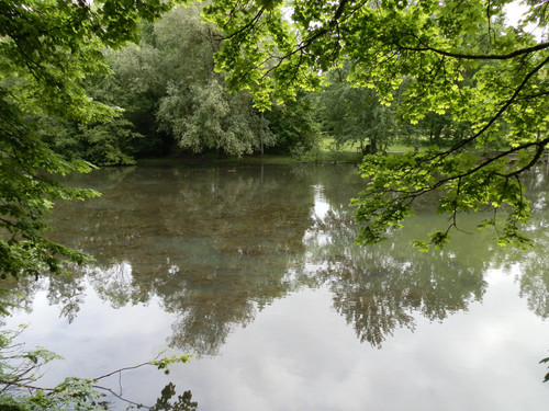 Olivet Bords du Loiret 11.jpg