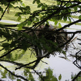Olivet Bords du Loiret 13