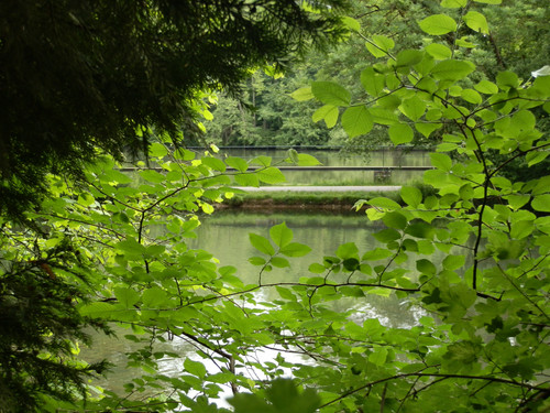 Olivet Bords du Loiret 14.jpg