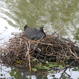 Olivet Bords du Loiret 3
