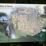 Olivet Bords du Loiret 1