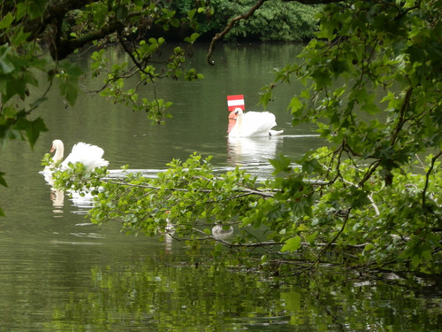 Olivet Bords du Loiret 5.jpg