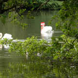 Olivet Bords du Loiret 5