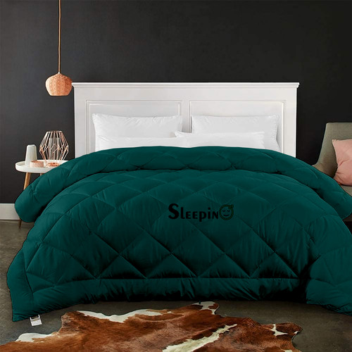 Teal (13).jpg