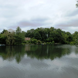 Olivet Bords du Loiret 53
