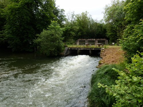 Olivet Bords du Loiret 56.jpg