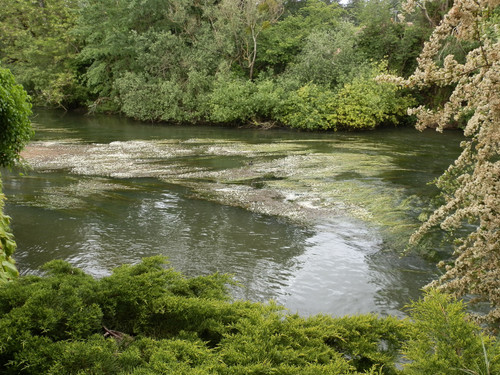 Olivet Bords du Loiret 27.jpg
