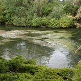 Olivet Bords du Loiret 27