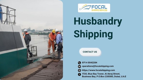 Focal Shipping Your Expert Partner in Husbandry Shipping.jpg