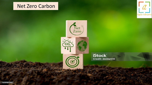 10.6.24 nzcarbon.jpg