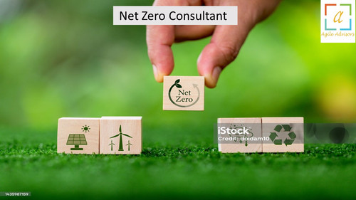 10.6.24nzconsultant.jpg