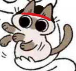 5449F522 1AA5 4BFF BCBD EDF44C84CED4.jpg