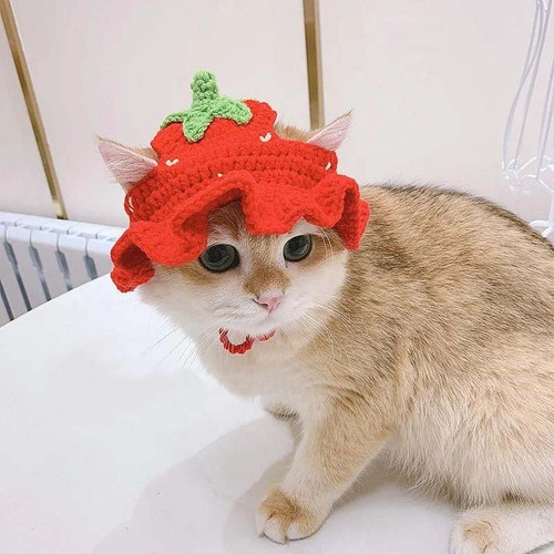 handmade spinus crochet blog - How To Better Cat Beanie Crochet 3.jpg